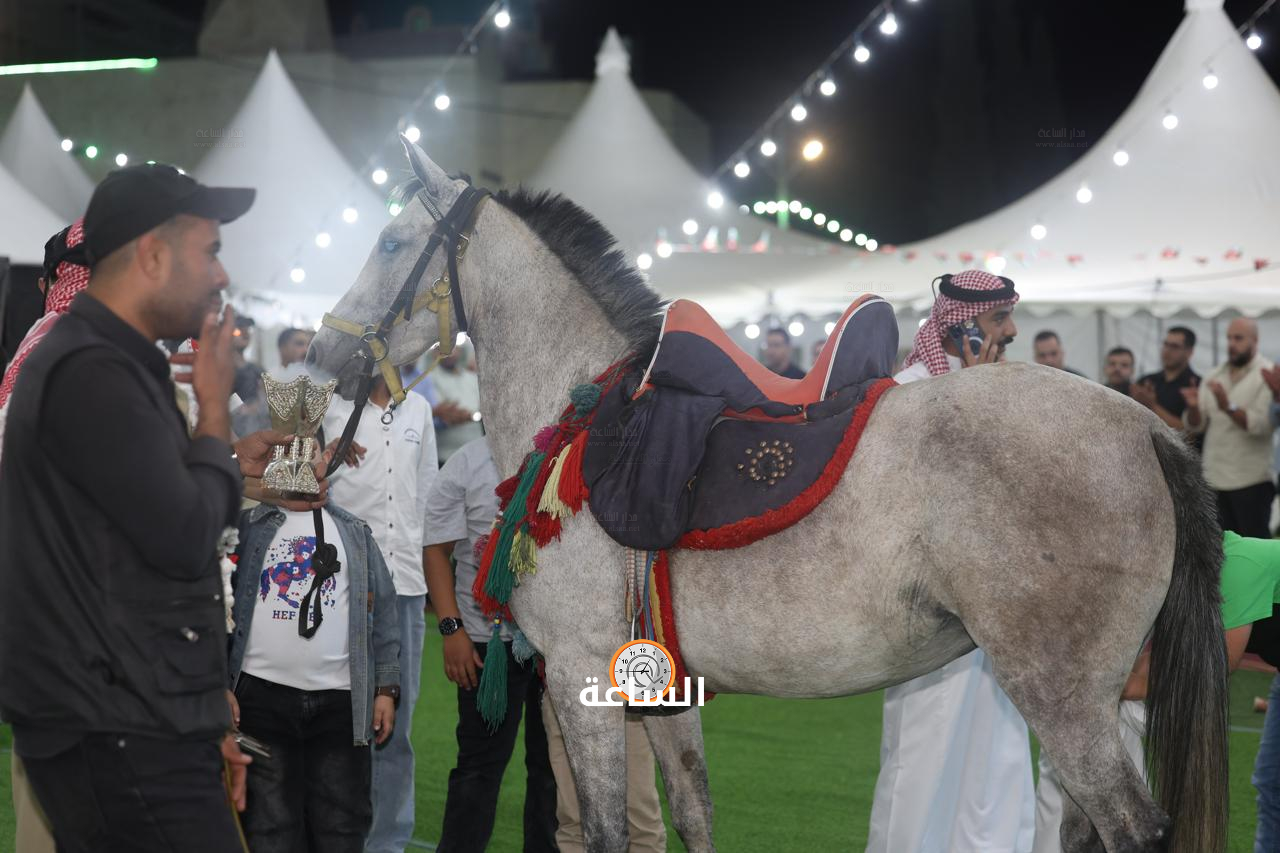 Madar Al-Saa Images 0.6233643820037233