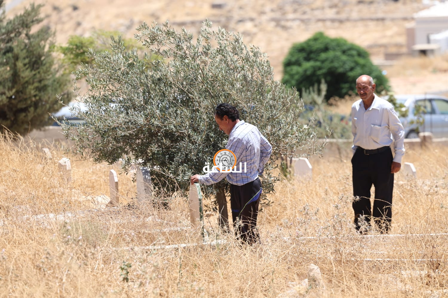 Madar Al-Saa Images 0.7981644601392819