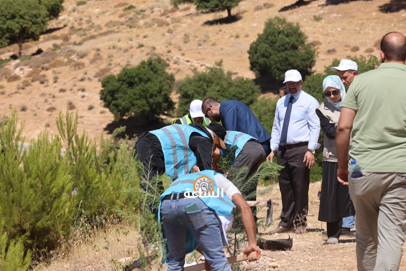 Madar Al-Saa Images 0.6273022281902103