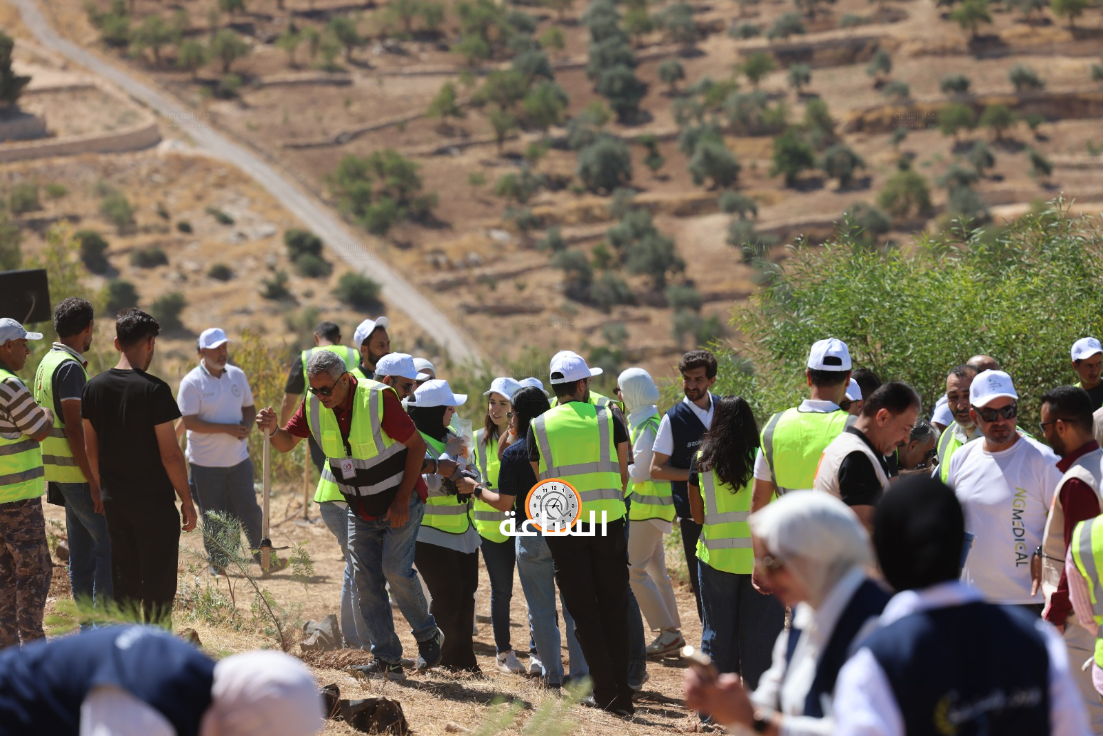 Madar Al-Saa Images 0.24208362397146732