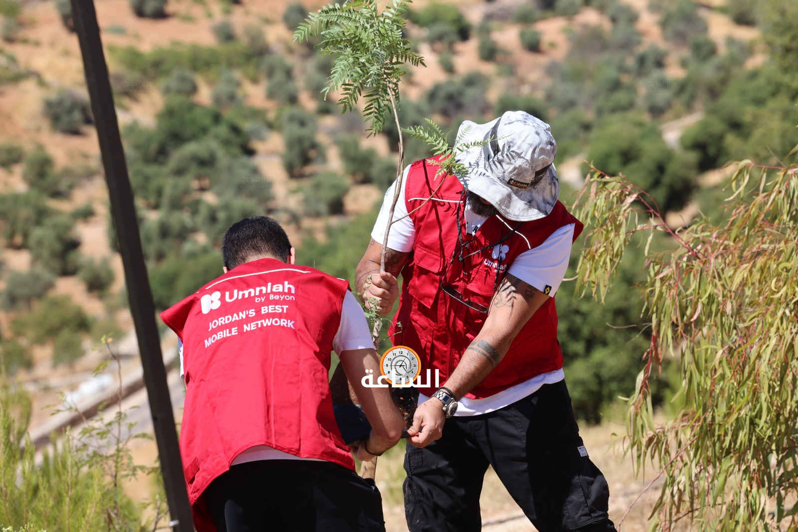 Madar Al-Saa Images 0.8482745333387438