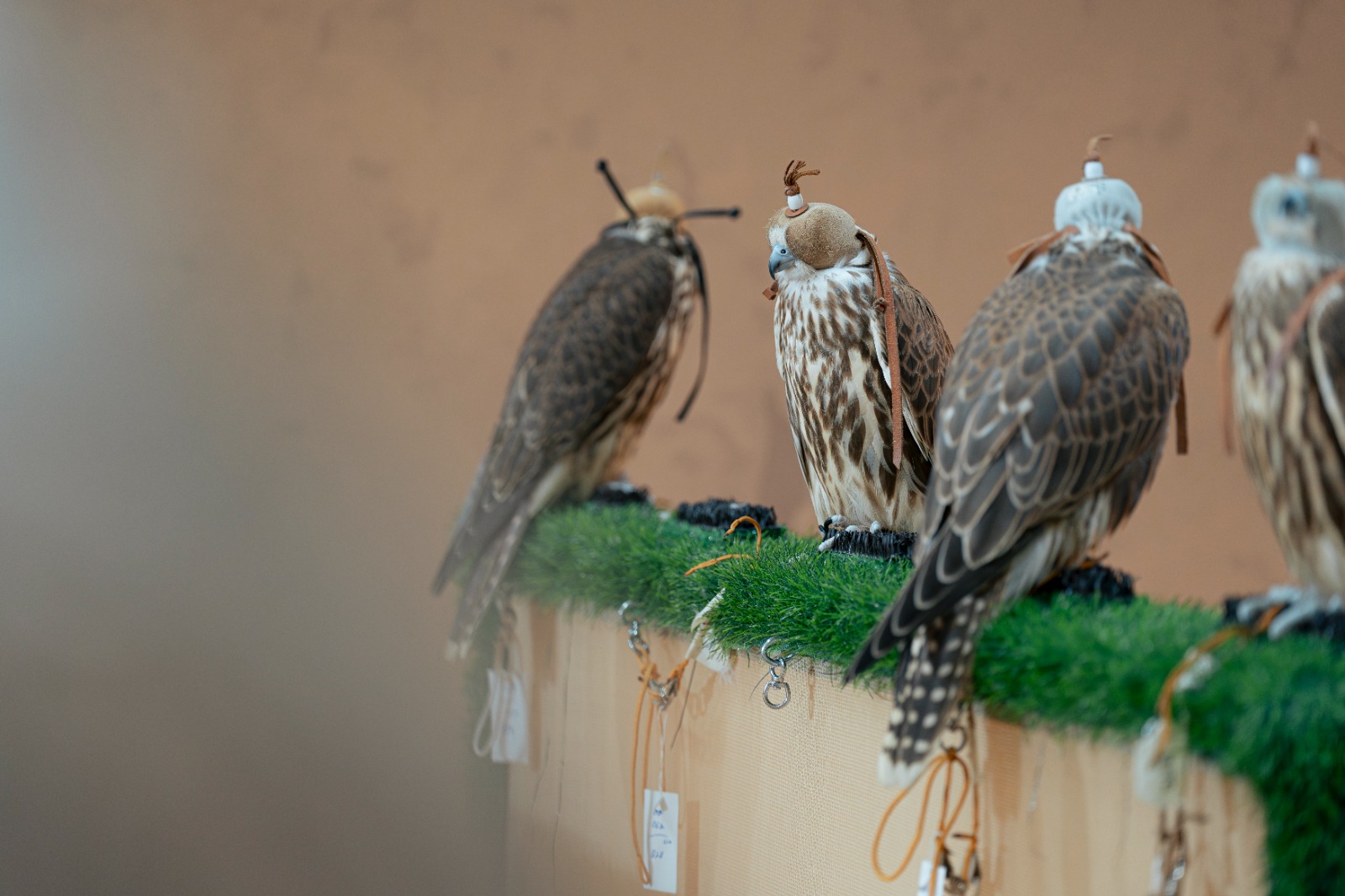 Madar Al-Saa Images 0.8464922880072734