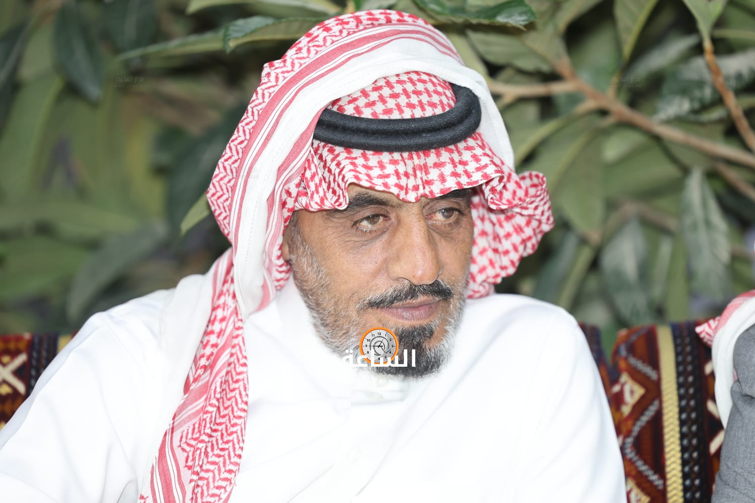Madar Al-Saa Images 0.1481102302406473