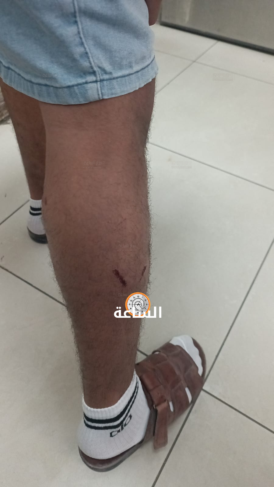 Madar Al-Saa Images 0.9907652560185974