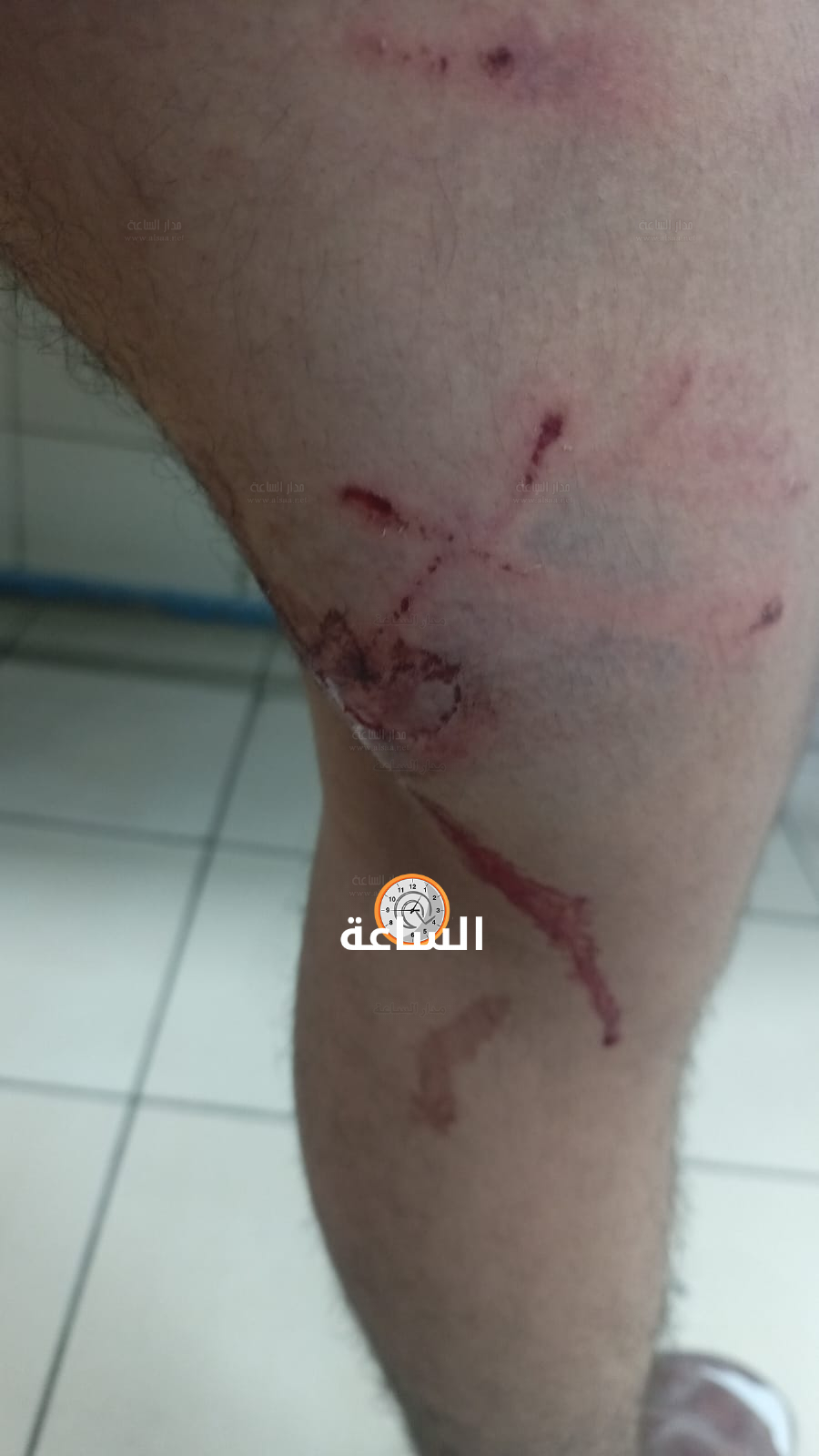 Madar Al-Saa Images 0.3038812815311407