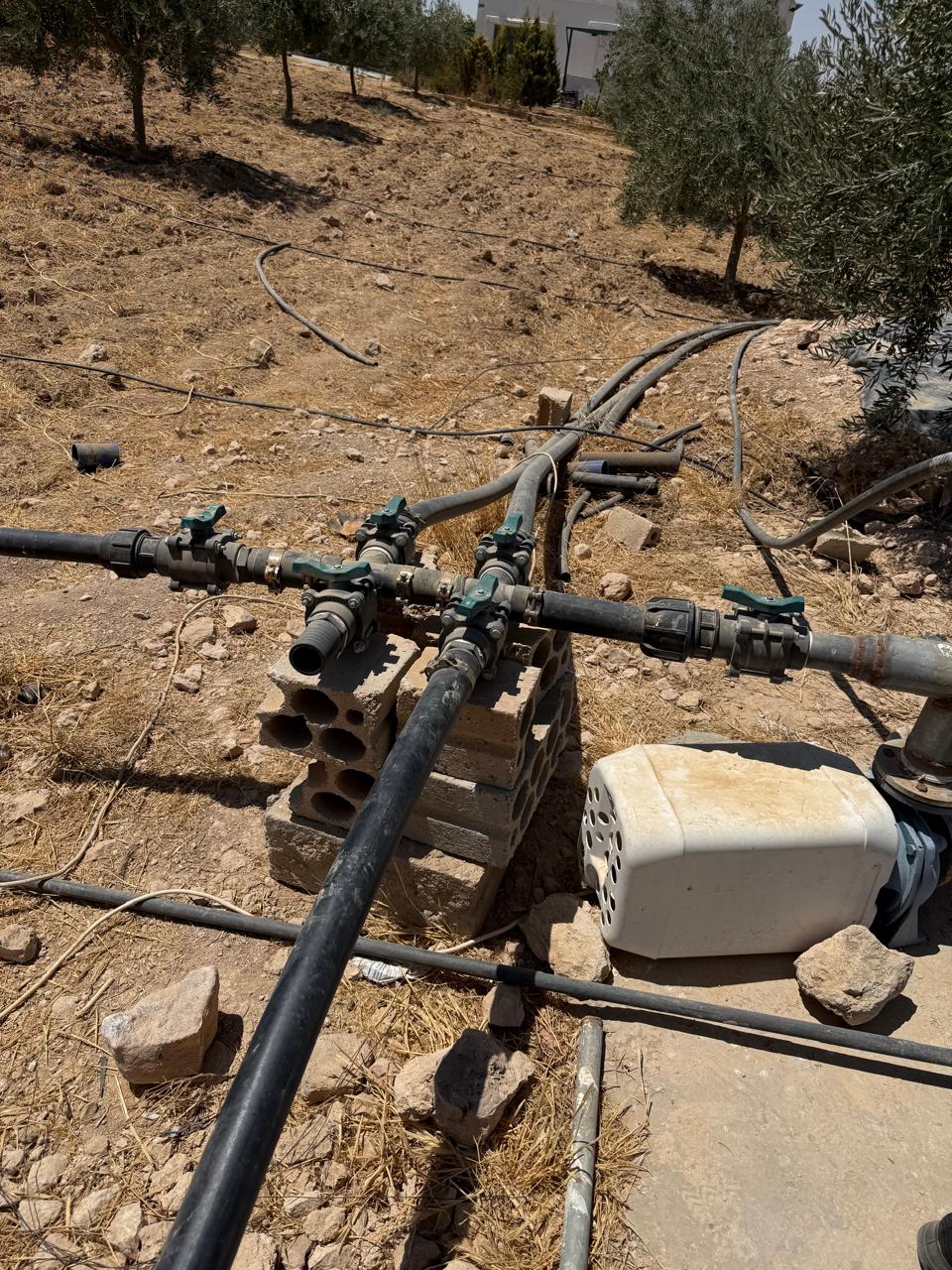 Madar Al-Saa Images 0.9942790460624901