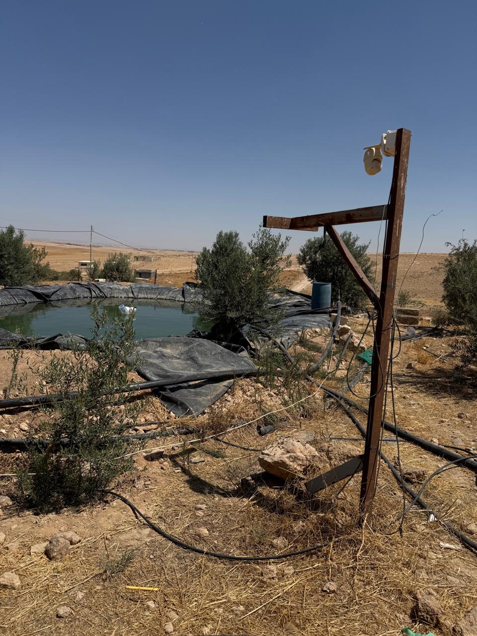 Madar Al-Saa Images 0.344932714965142