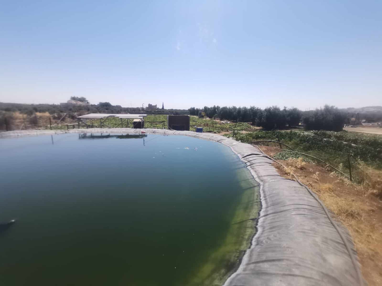 Madar Al-Saa Images 0.8149561066928476