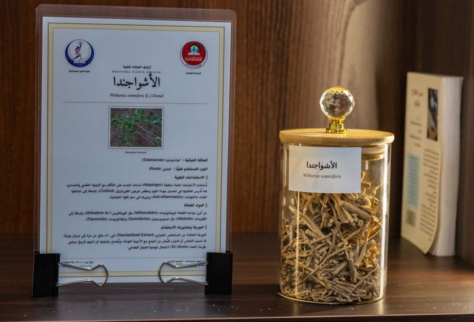 Madar Al-Saa Images 0.545915078668642