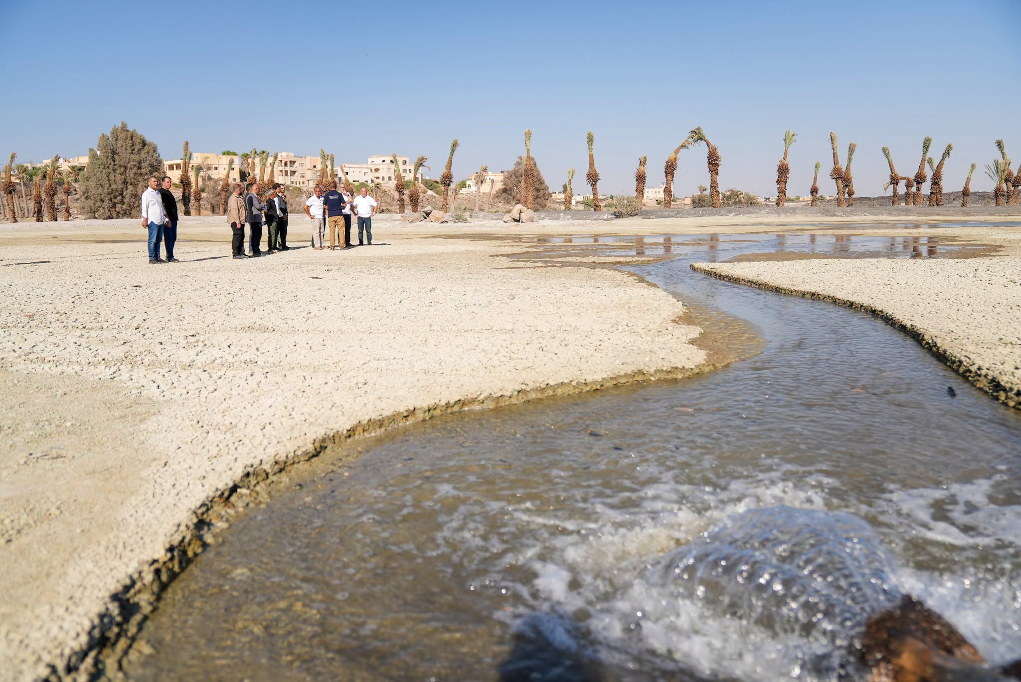 Madar Al-Saa Images 0.6871101265230214