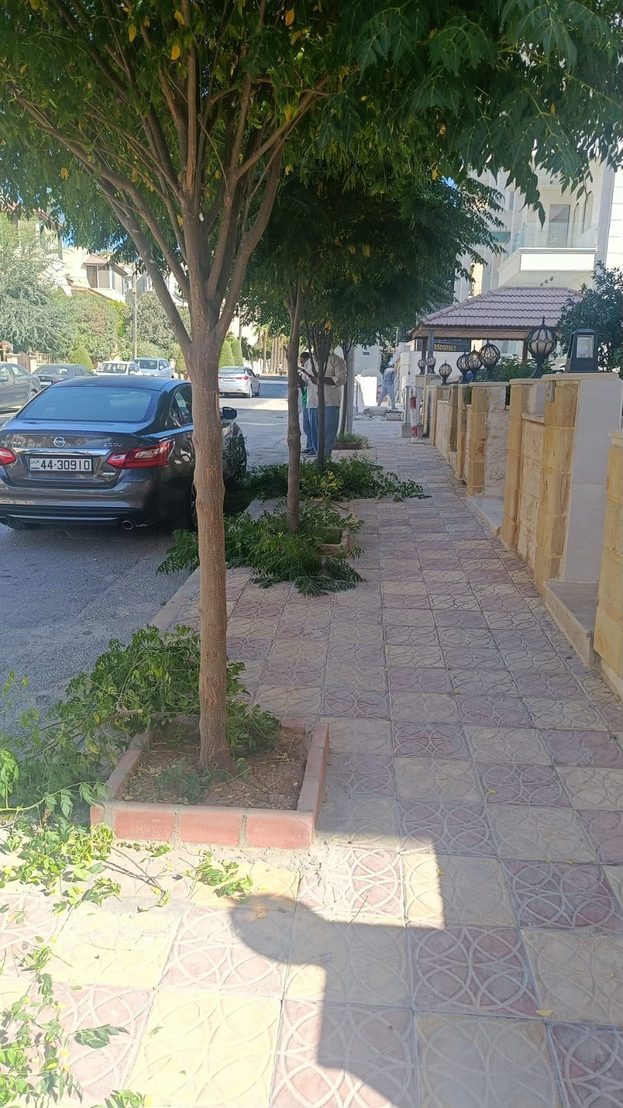 Madar Al-Saa Images 0.7563932418572946