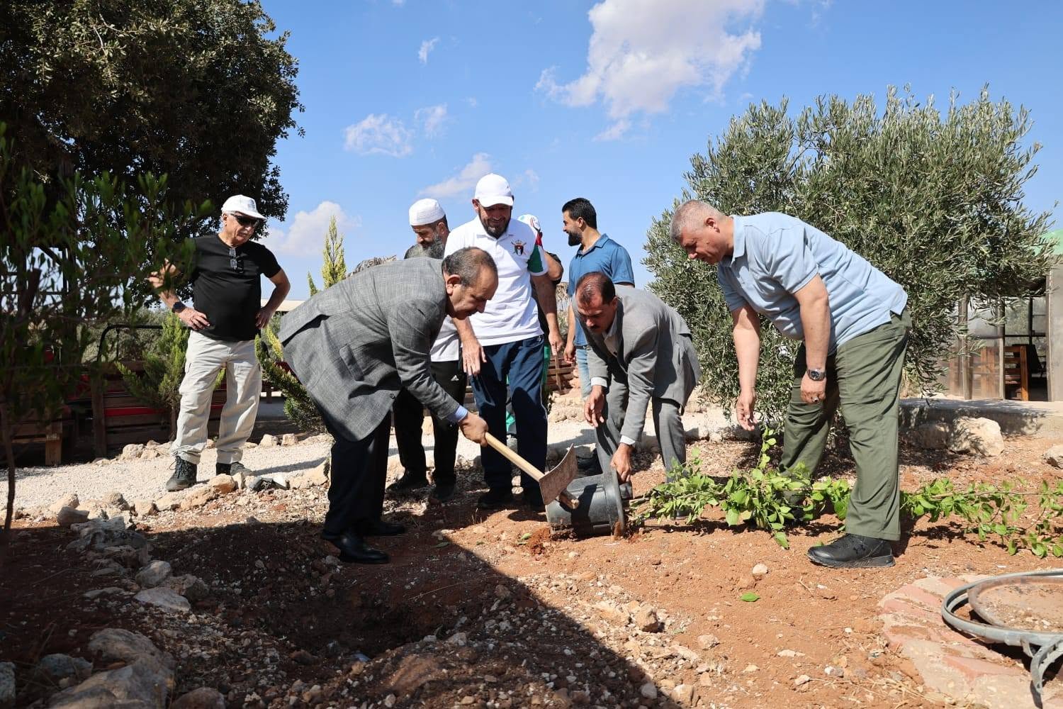 Madar Al-Saa Images 0.42192456315641536