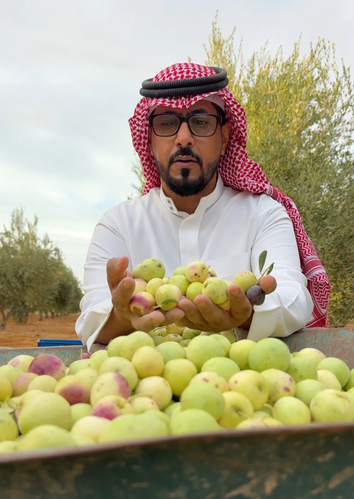 Madar Al-Saa Images 0.5616097633361246