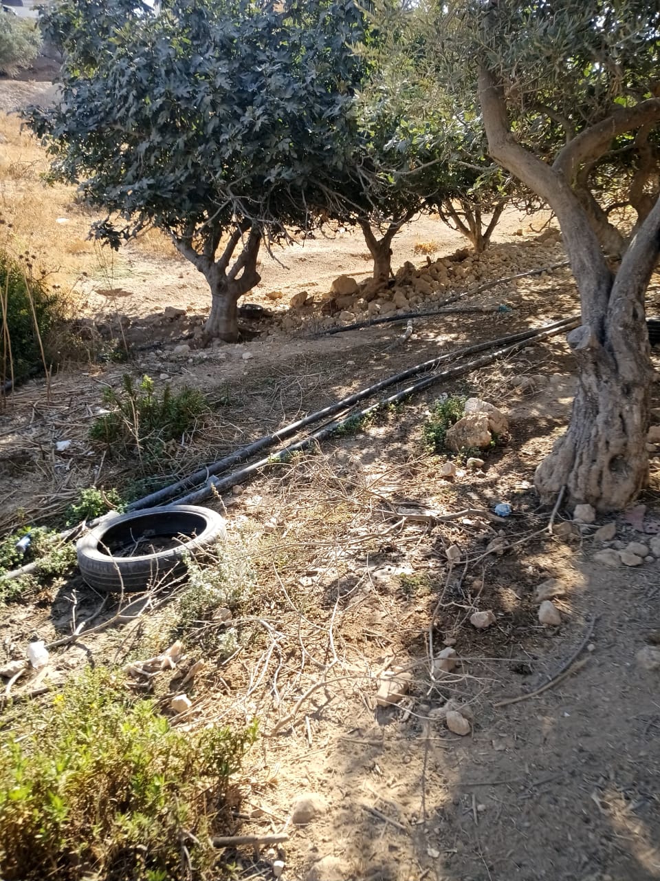 Madar Al-Saa Images 0.6388107704327995