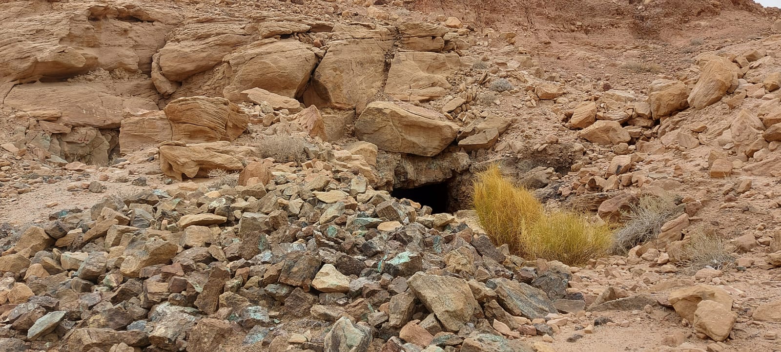 Madar Al-Saa Images 0.9504815019418679