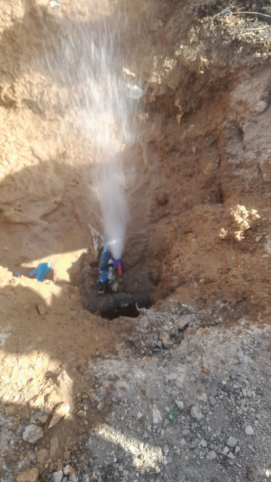 Madar Al-Saa Images 0.9416386241597746