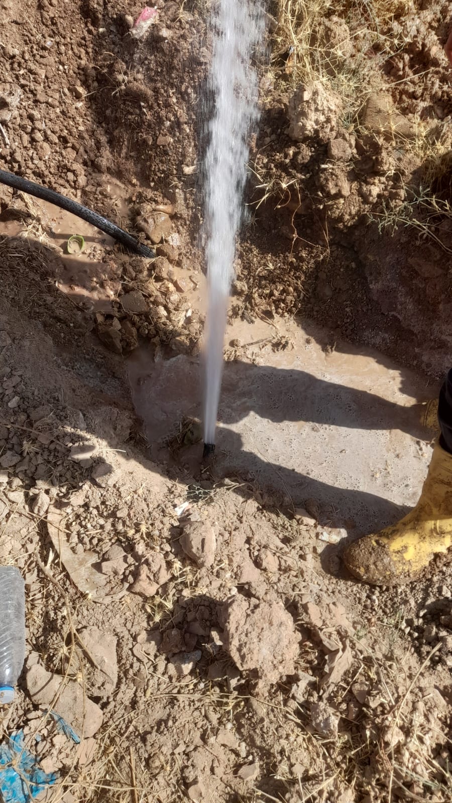 Madar Al-Saa Images 0.5328405664664495