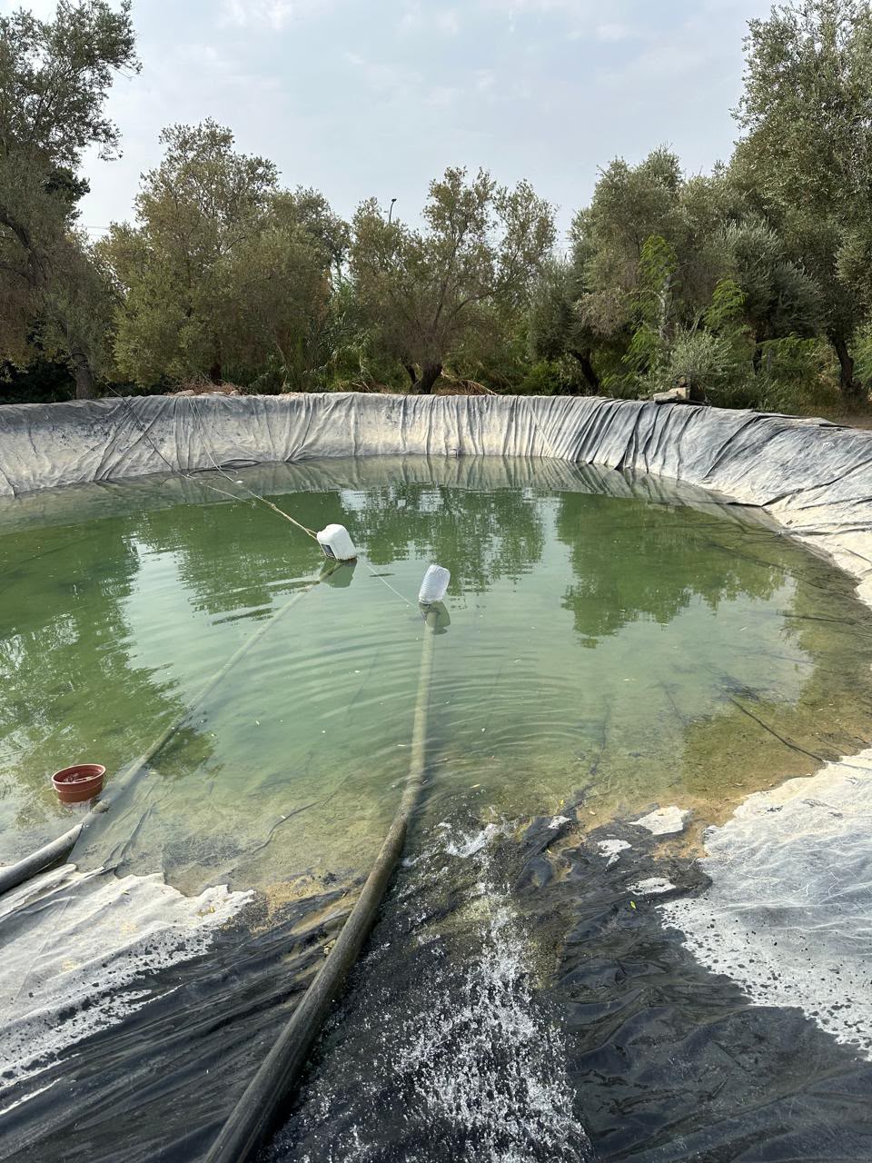 Madar Al-Saa Images 0.2824425741475959