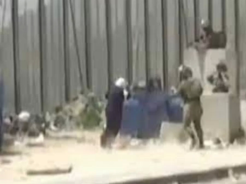 أرملة وأم لستّة أطفال.. تفاصيل مؤثرة