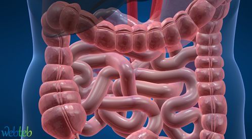 رد فعل بطانة الأمعاء سبب القولون