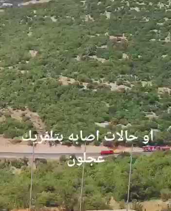 محافظ عجلون يوقف ناشري هذا الفيديو