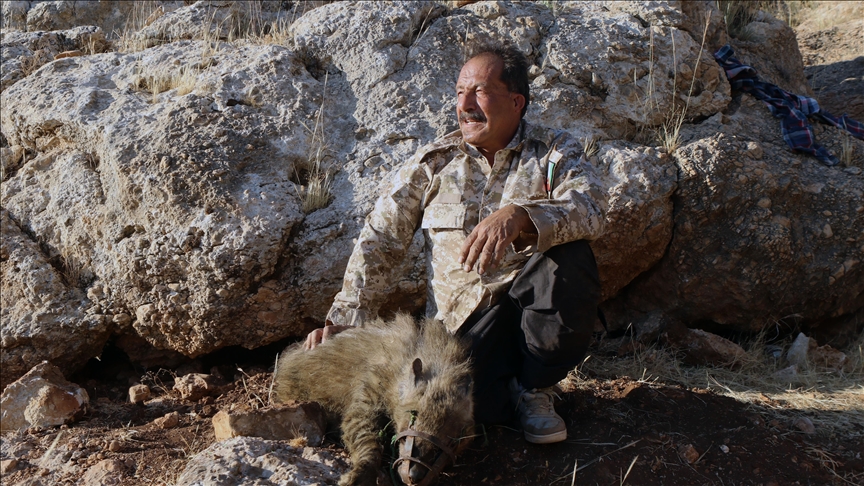 أردني يفقد الضباع شراستها