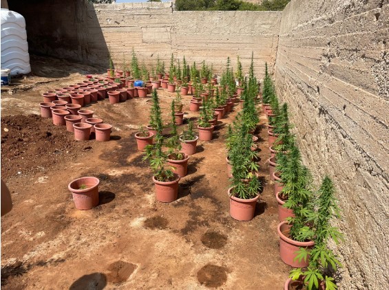 مداهمة مزرعة في البلقاء وضبط اخطر