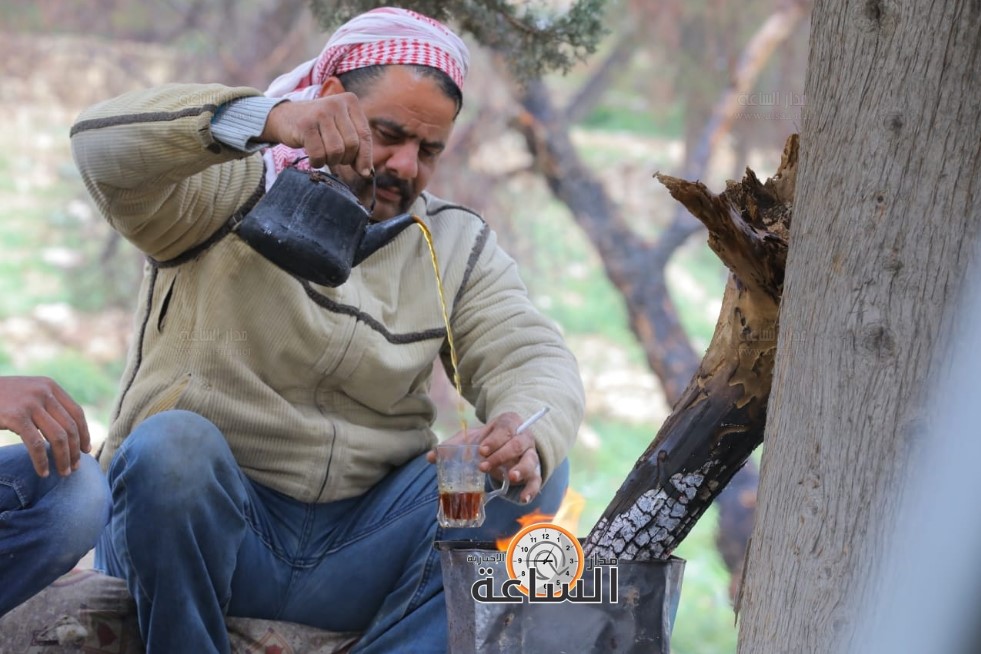 مشهد من العاصمة عمان.. حاملة وشاي