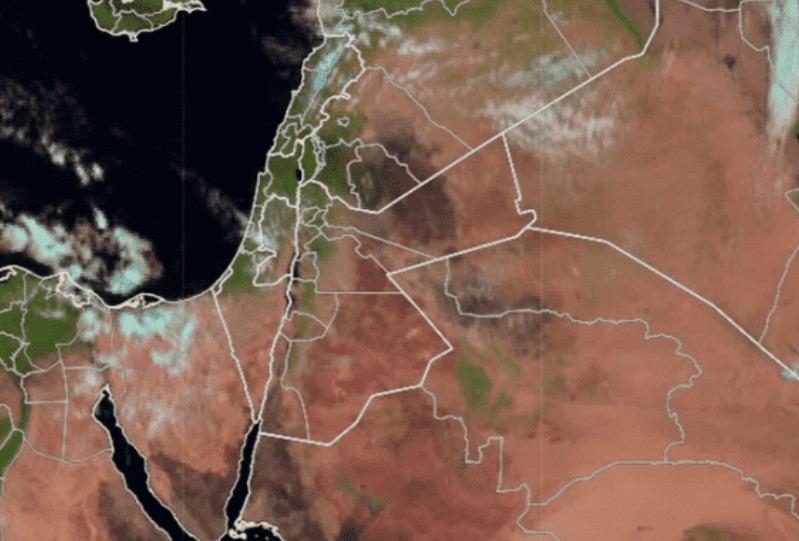 بوضوح.. ظهور ربيع الأردن عبر صور