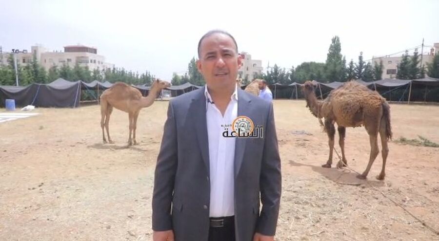 النائب نضال الحياري ينحر ثلاثة جمال