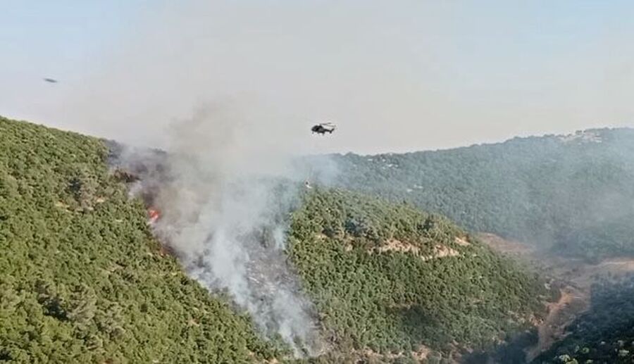 ‏الدفاع المدني يخمد حريق الاعشاب والاشجار