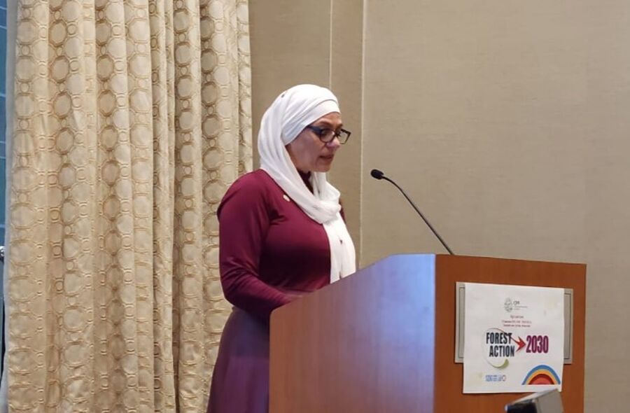 الأميرة بسمة بنت علي تترأس اجتماعات