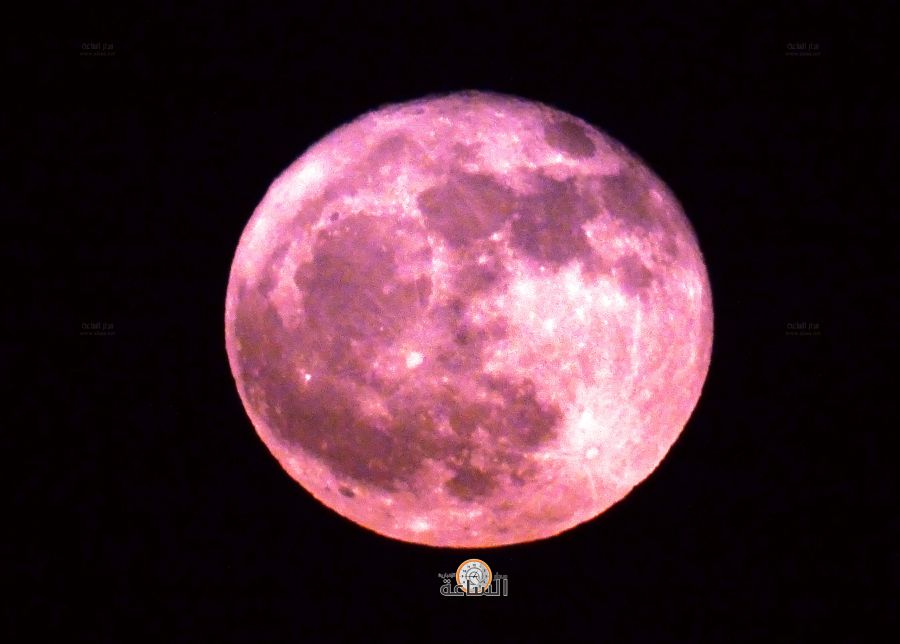 هكذا ظهر قمر الفراولة في سماء