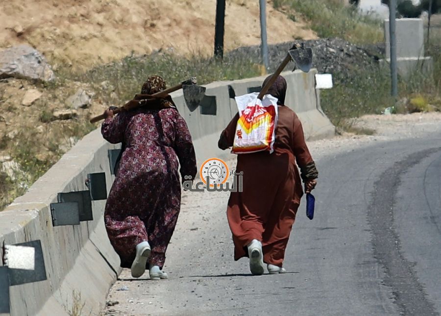 في الاغوار.. الخير والبركة