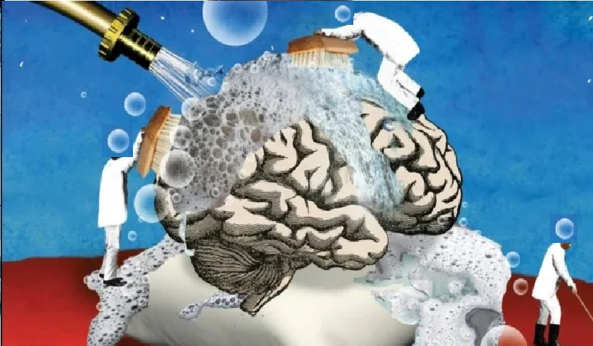تنظيف الدماغ من السموم أفضل وقاية