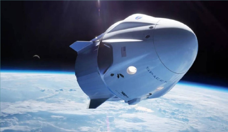 البكتيريا الحارسة أول كائن حي دقيق