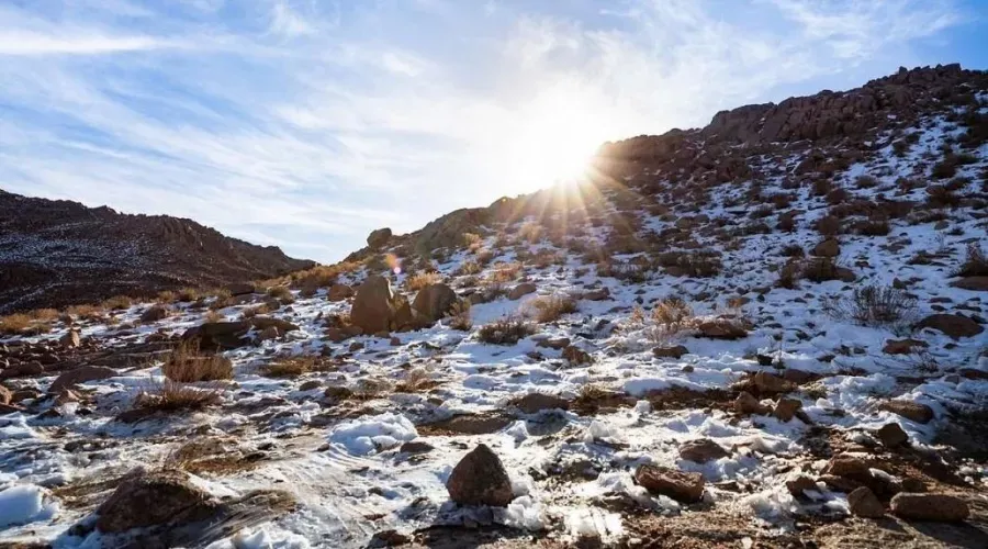 في مشهد نادر الحدوث .. ثلوج