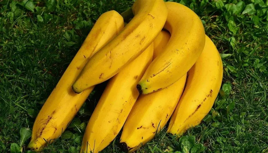 طبيب يحذر.. 3 أنواع من أدوية