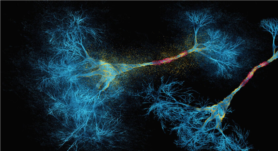 اختراق علمي: الذكاء الاصطناعي يكتشف تصنيفا