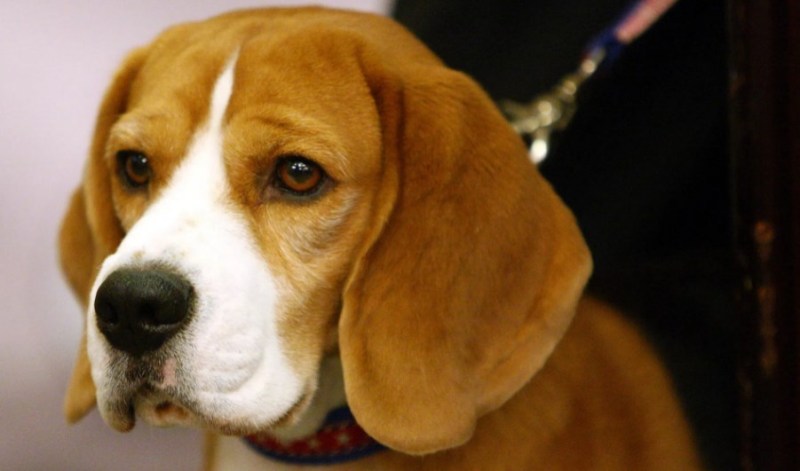 النطق بالحكم على شرطي أميركي قتل