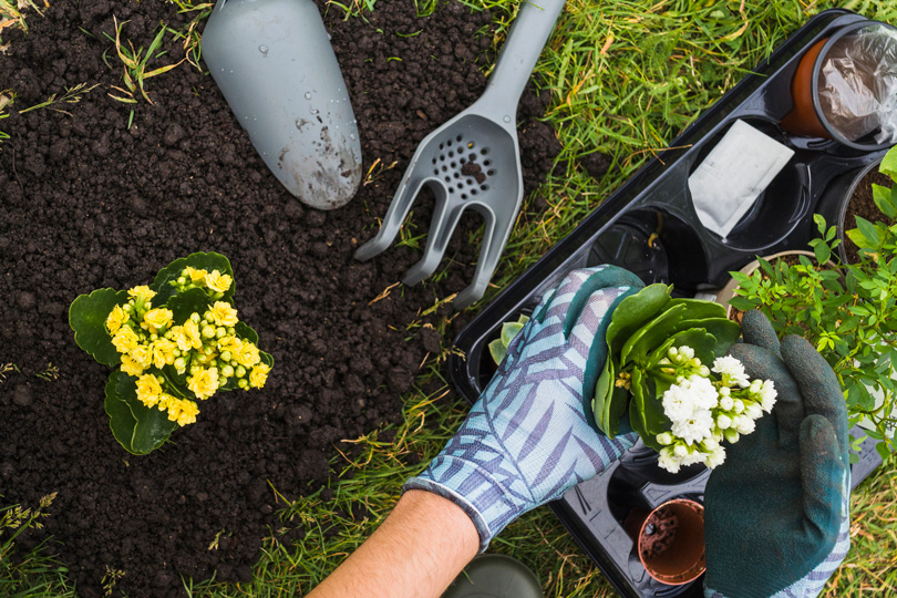 نشاطات مفيدة بديلة لتمارين الصالة الرياضية