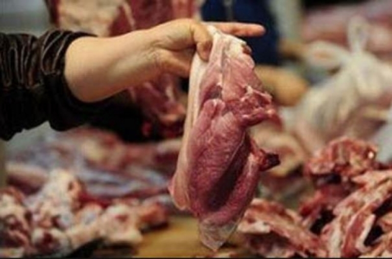 متصرف الرمثا: مراقبو الصحة في البلدية