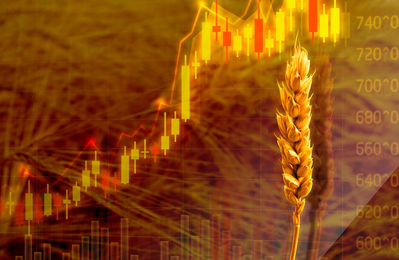 هل تذكرون سرقة الدول لشحنات الكمامات