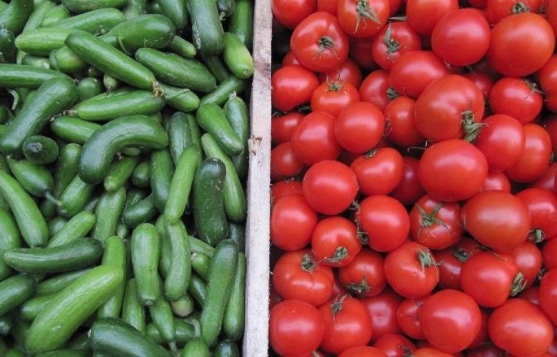 الزراعة: الارتفاع مؤقت