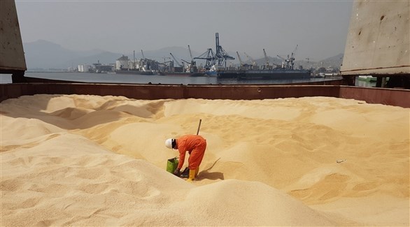 تقرير: اختفاء 5 سفن محملة بالقمح