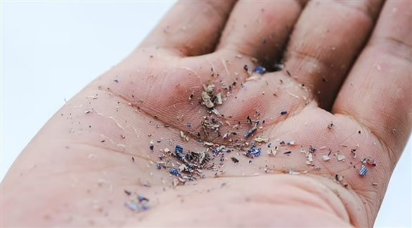 دراسة: العثور على جزيئات بلاستيك دقيقة