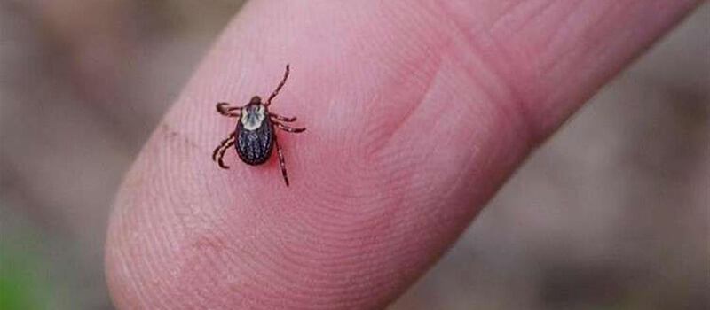 أسرار يخفيها عنك موظفو الفندق ولا