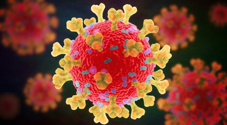 البلبيسي: الأردن لم يسجل أي متحورات