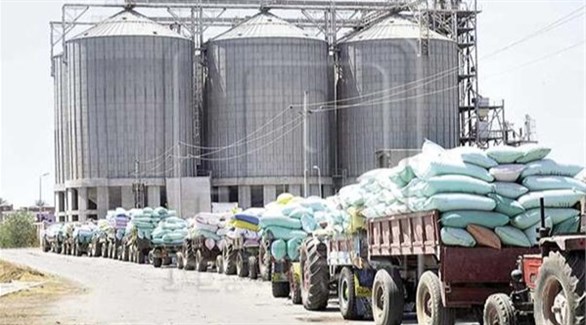 الاتحاد الأوروبي يدعم مصر بـ 100