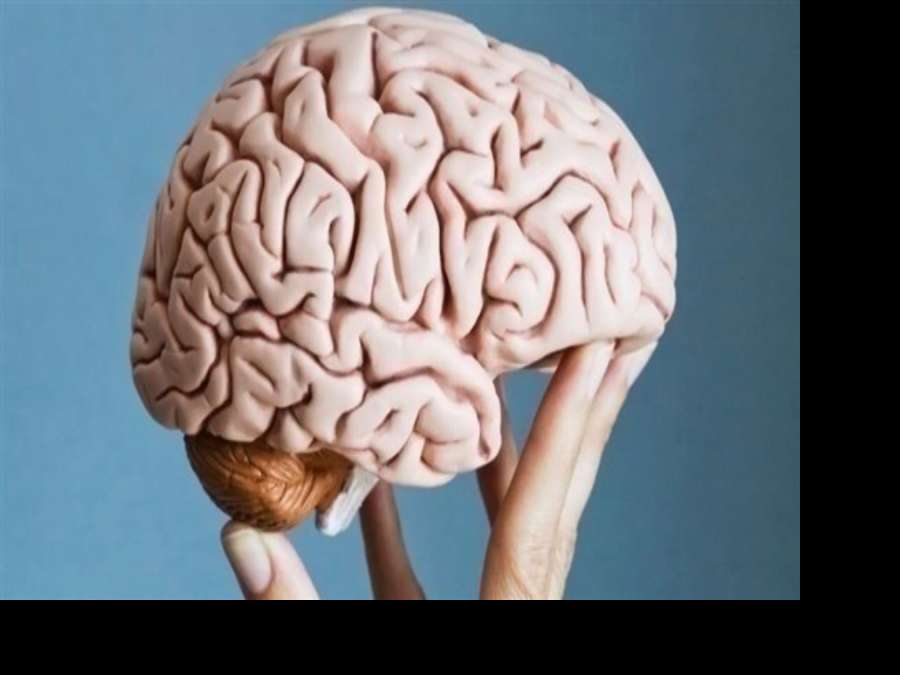 خريطة لتغيرات الدماغ مع العمر تتنبأ